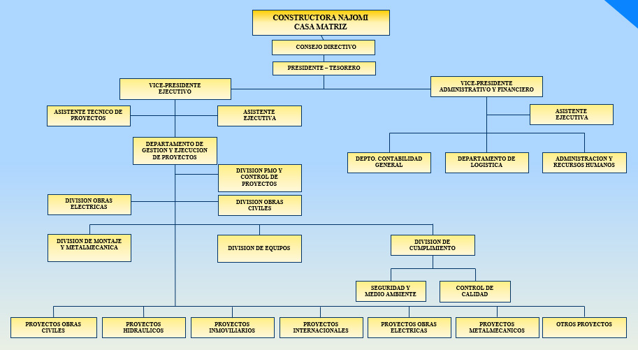 ESTRUCTURA ORGANIZACIONAL CASA MATRIZ – NAJOMI